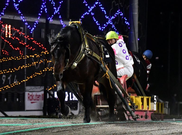 ばんえい菊花賞　キングフェスタ