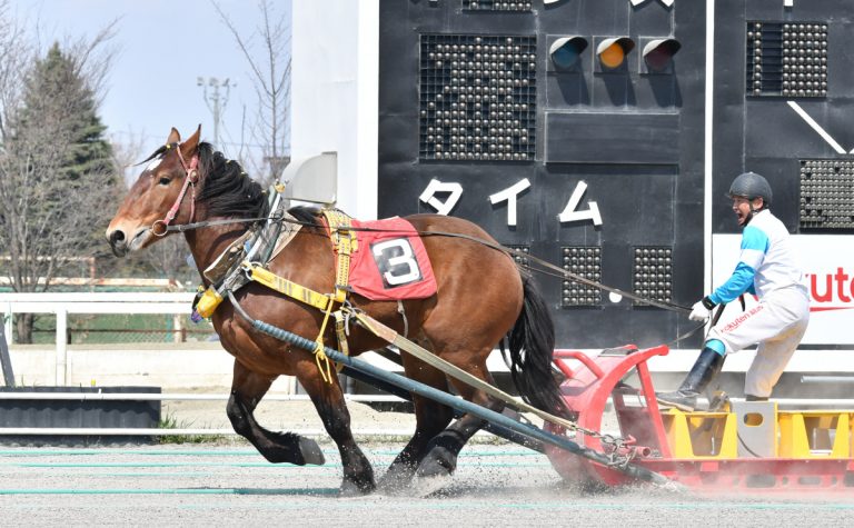 第1回能力検査の一番時計馬コーワホープ