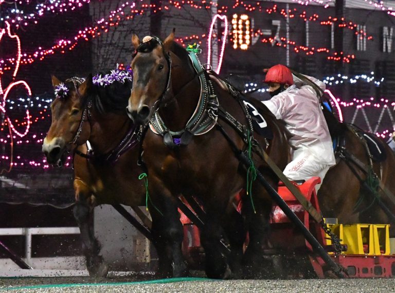 ばんえい十勝オッズパーク杯　アオノブラック