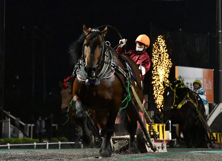 北斗賞　アオノブラック