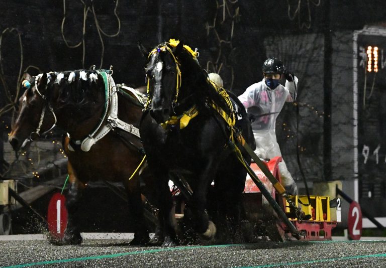 岩見沢記念　インビクタ