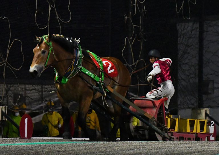 ナナカマド賞　タカラキングダム