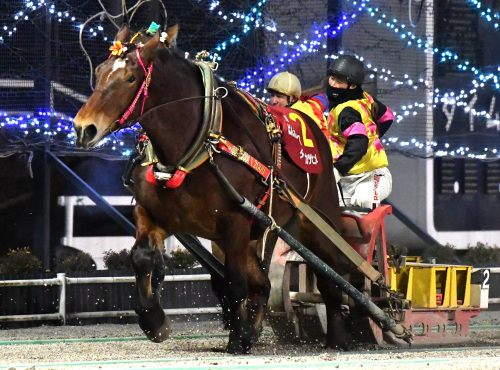 ばんえいオークス　ダイヤカツヒメ