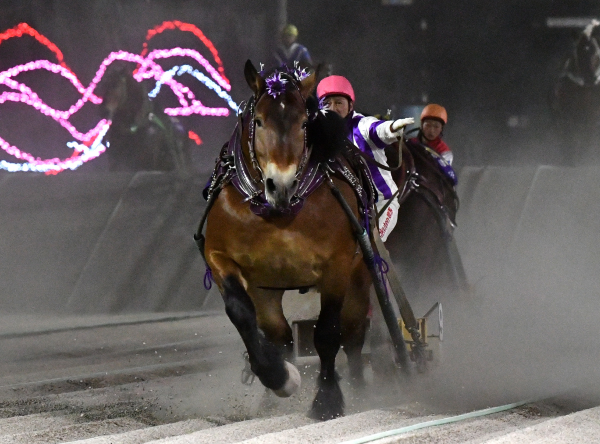 ばんえい記念　メムロボブサップ