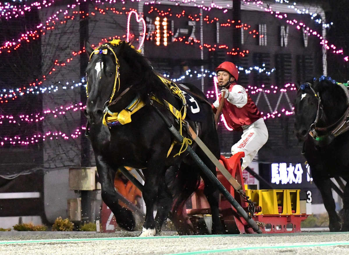 ばんえい十勝オッズパーク杯　インビクタ