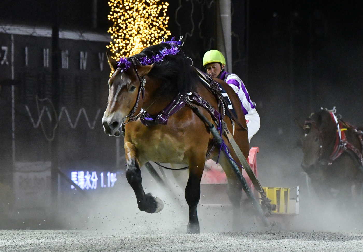 北斗賞　メムロボブサップ