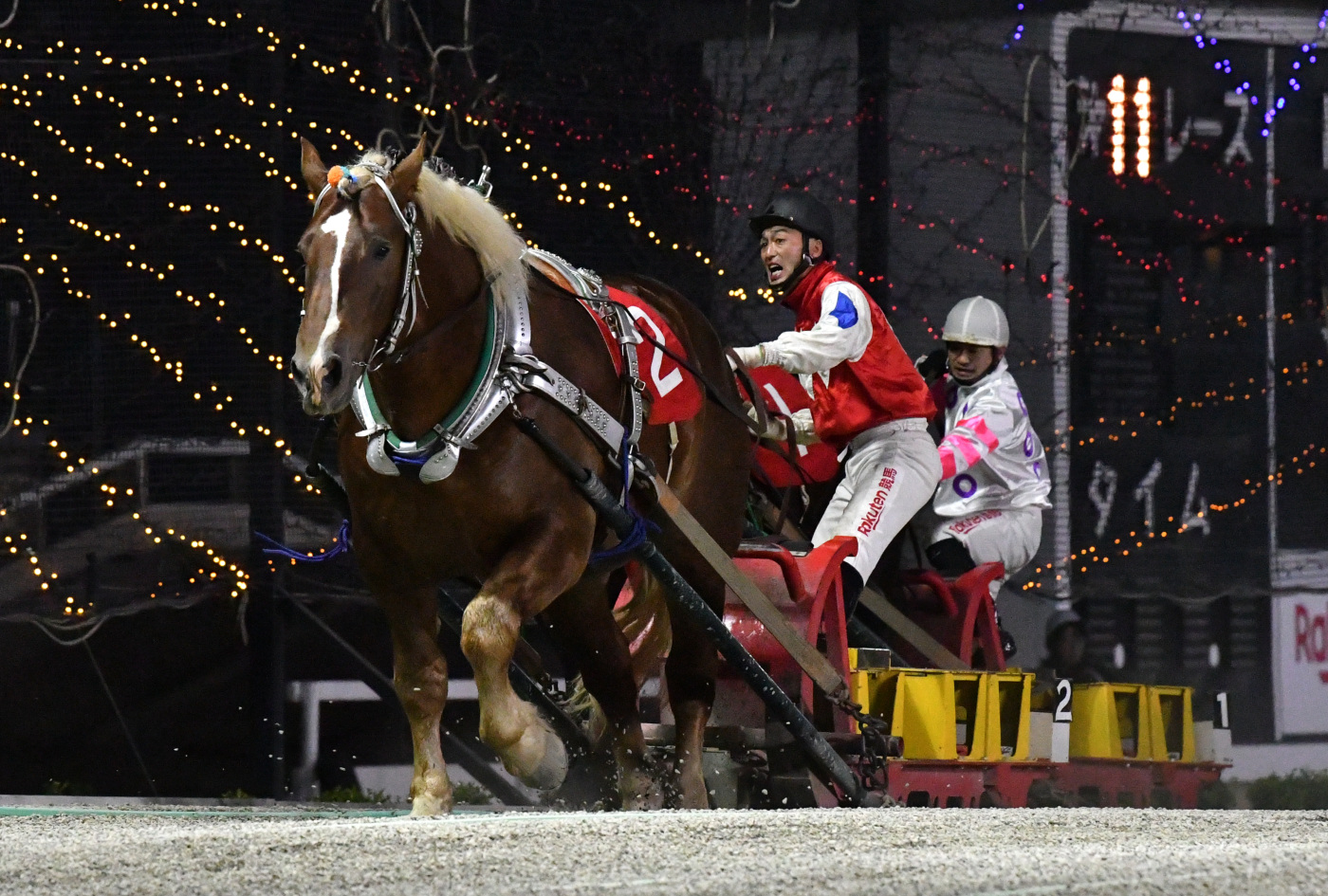 第46回ナナカマド賞　ホクセイポルシェ