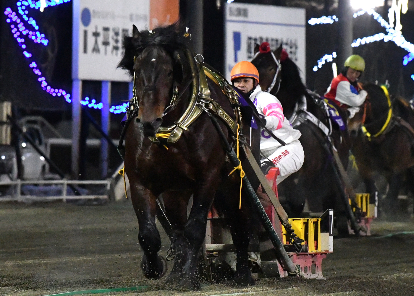 天馬賞　キングフェスタ