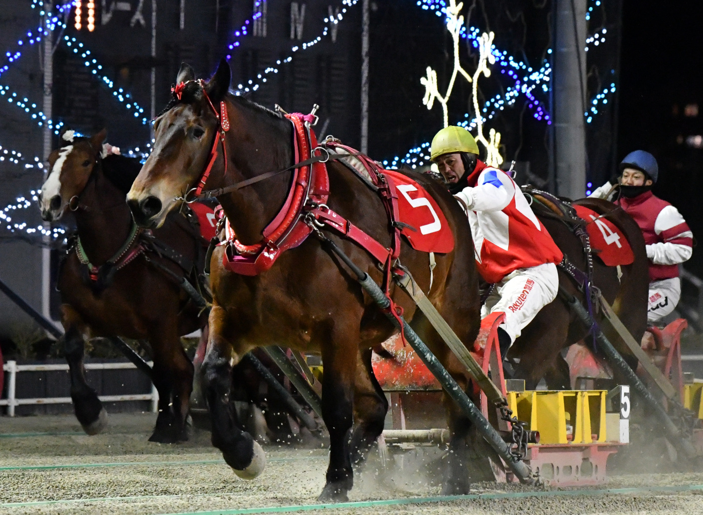 黒ユリ賞　スマイルカナ