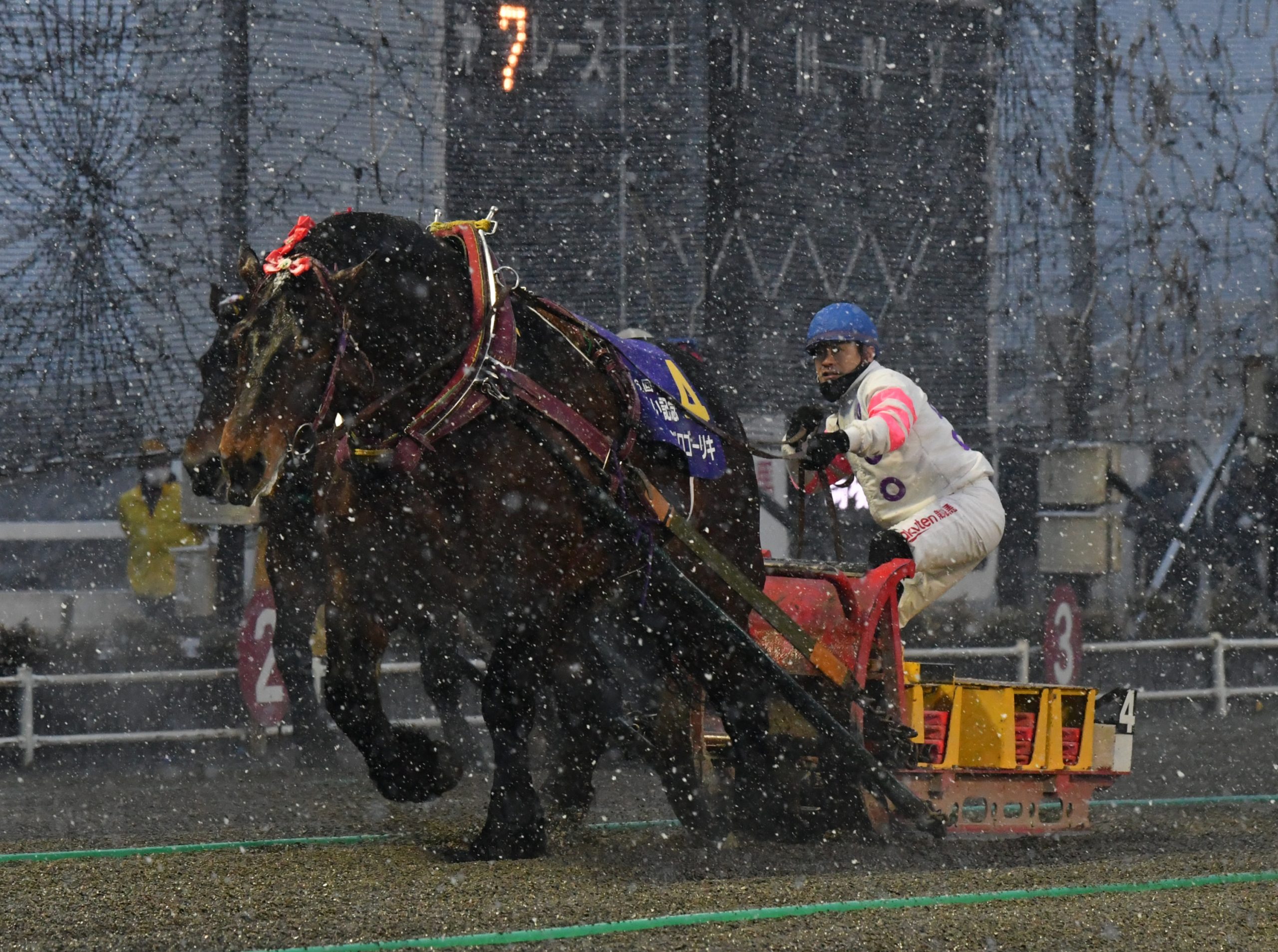 ばんえい記念　メジロゴーリキ