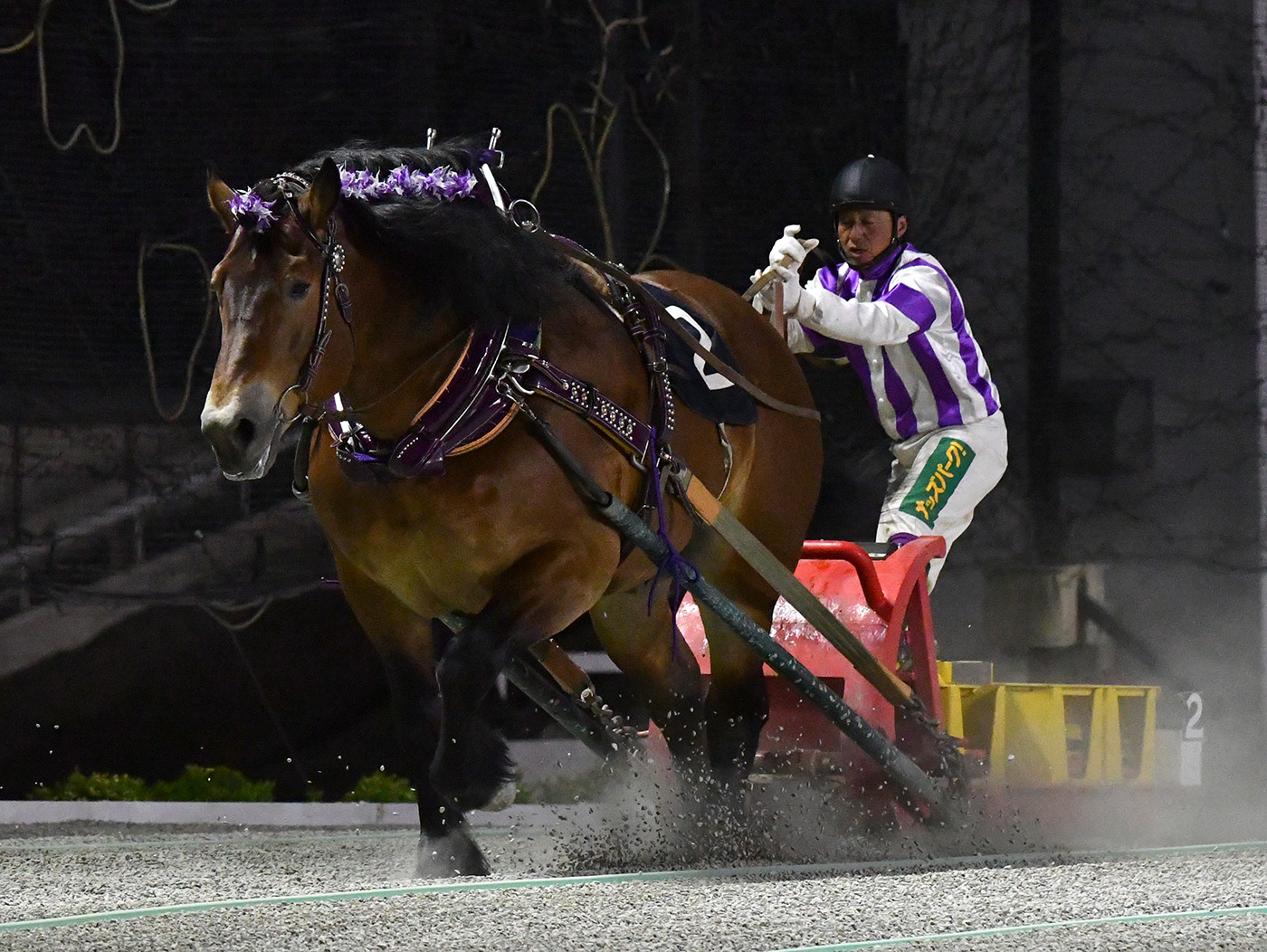 第18回ばんえい十勝オッズパーク杯　メムロボブサップ