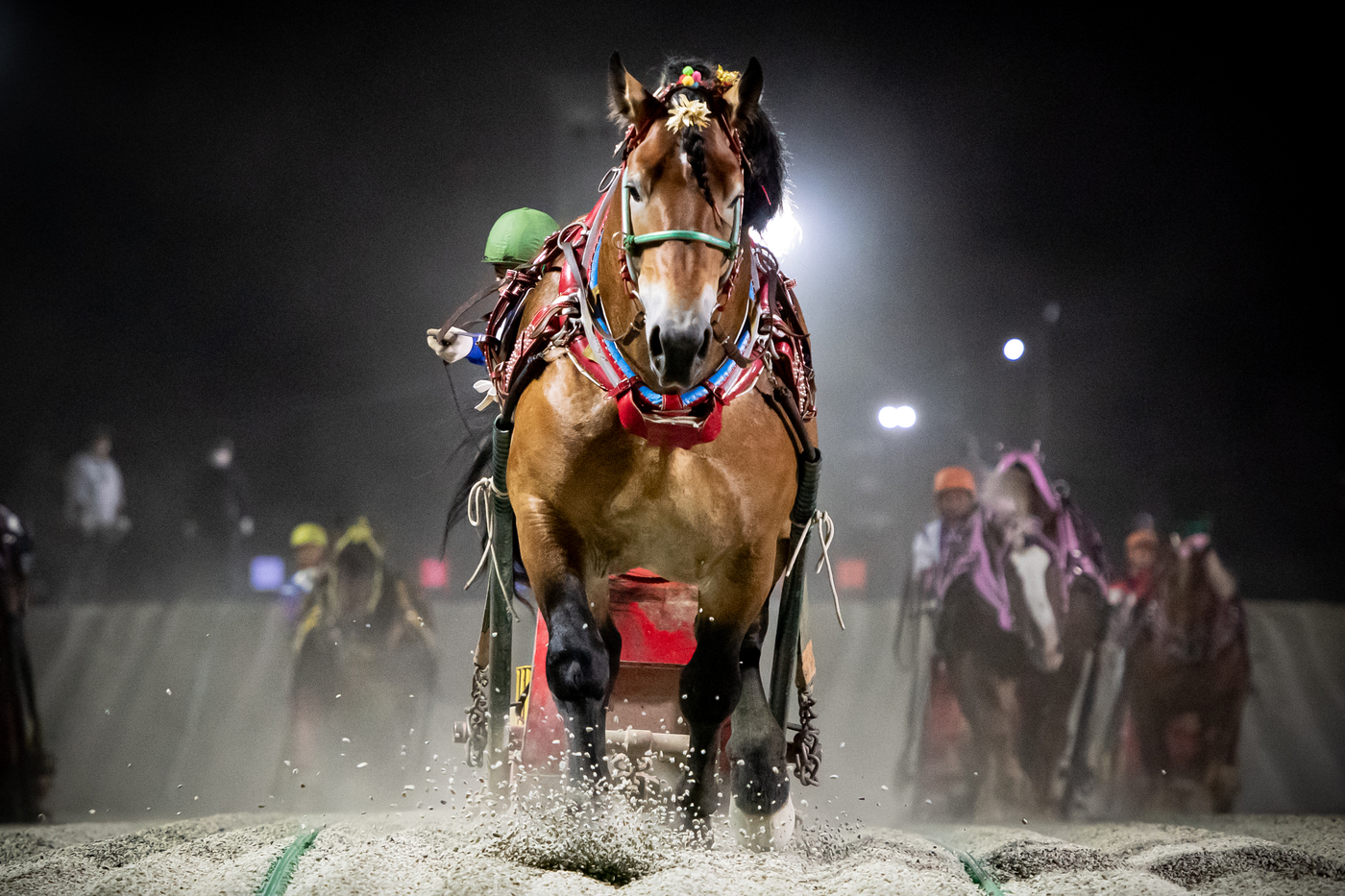 第18回柏林賞　タカラキングダム