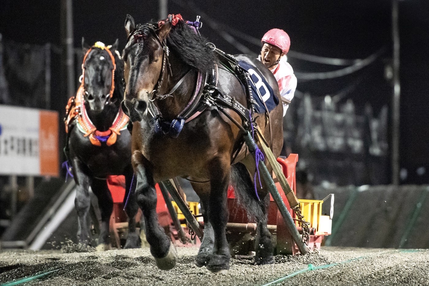 クリスタルコルド