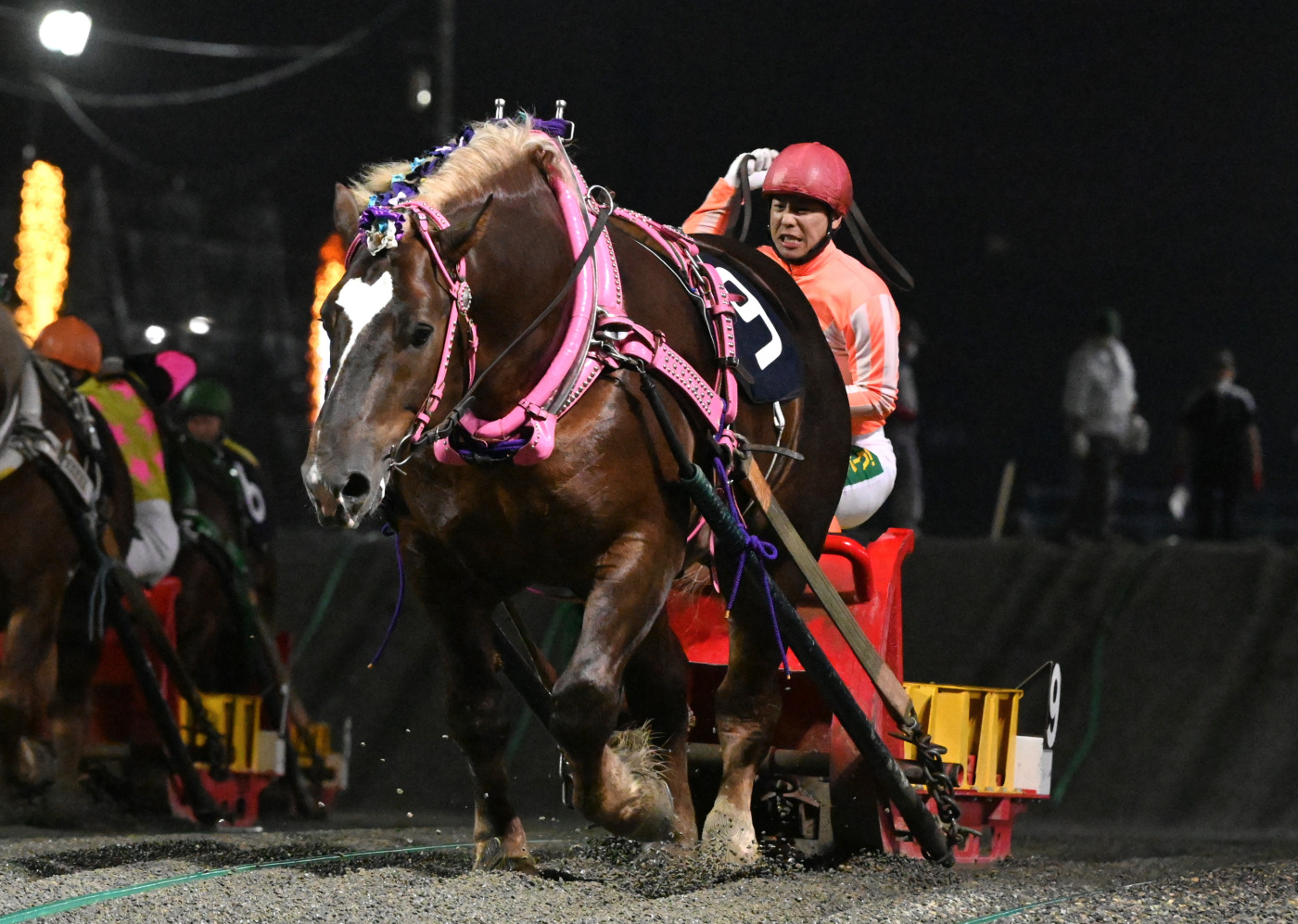 ばんえい大賞典　ホクセイハリアー