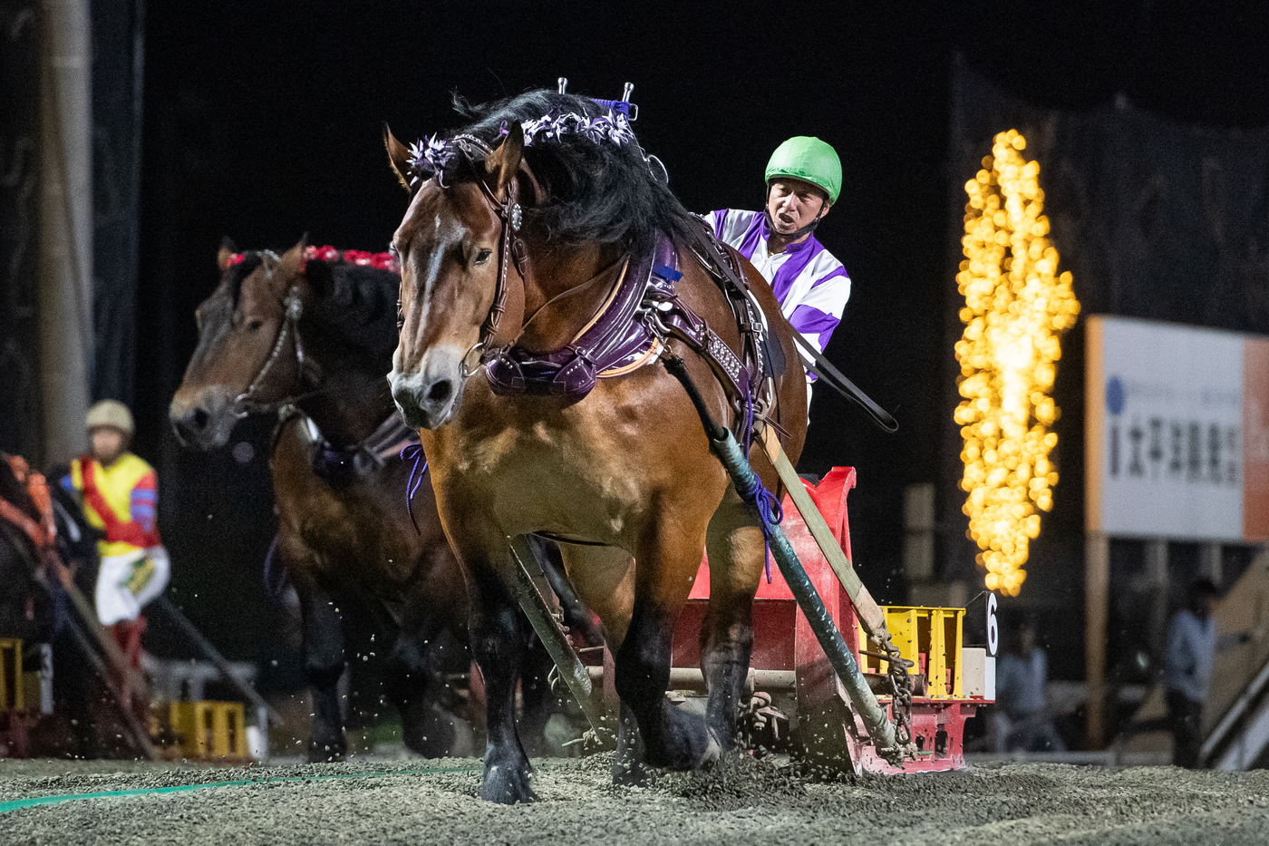 ばんえいグランプリ　メムロボブサップ