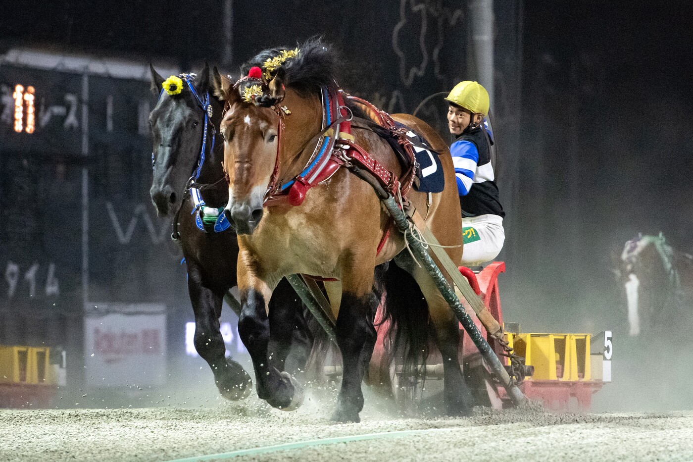 第36回はまなす賞　タカラキングダム
