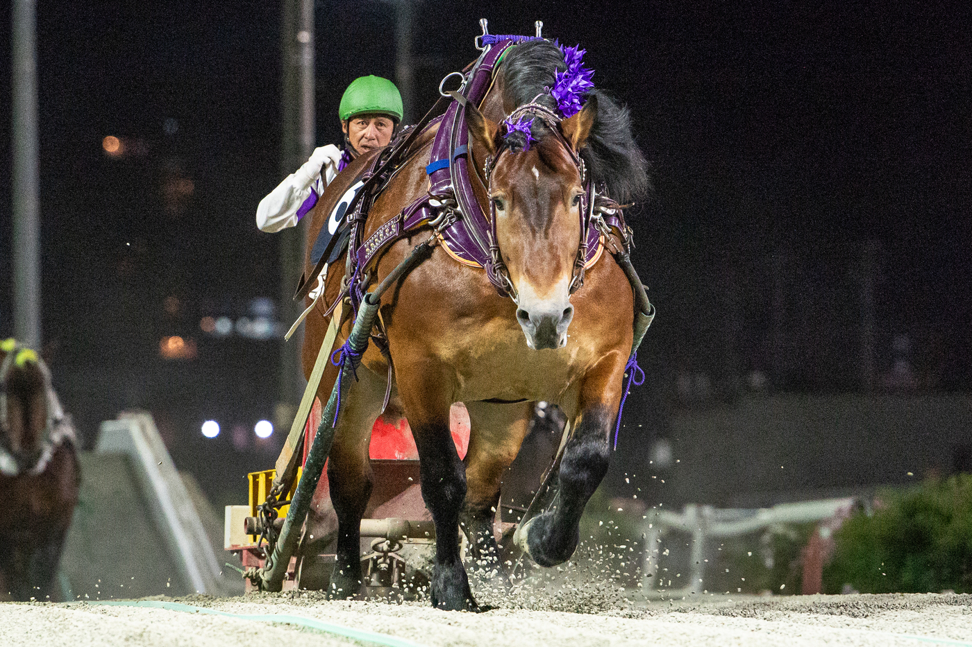 第60回岩見沢記念　メムロボブサップ