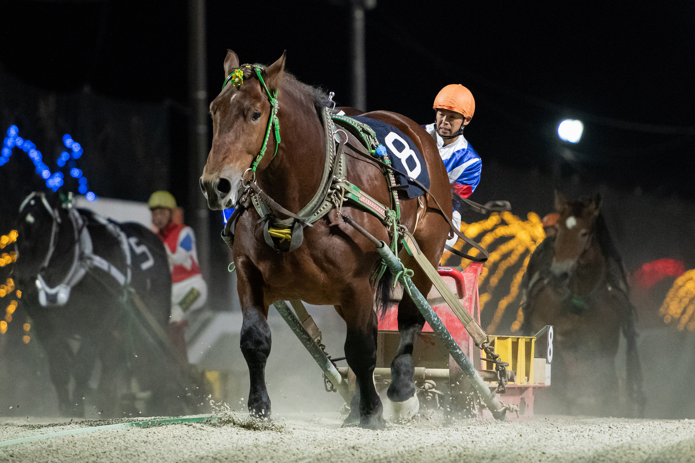 第47回ナナカマド賞を勝ったキョウエイエース