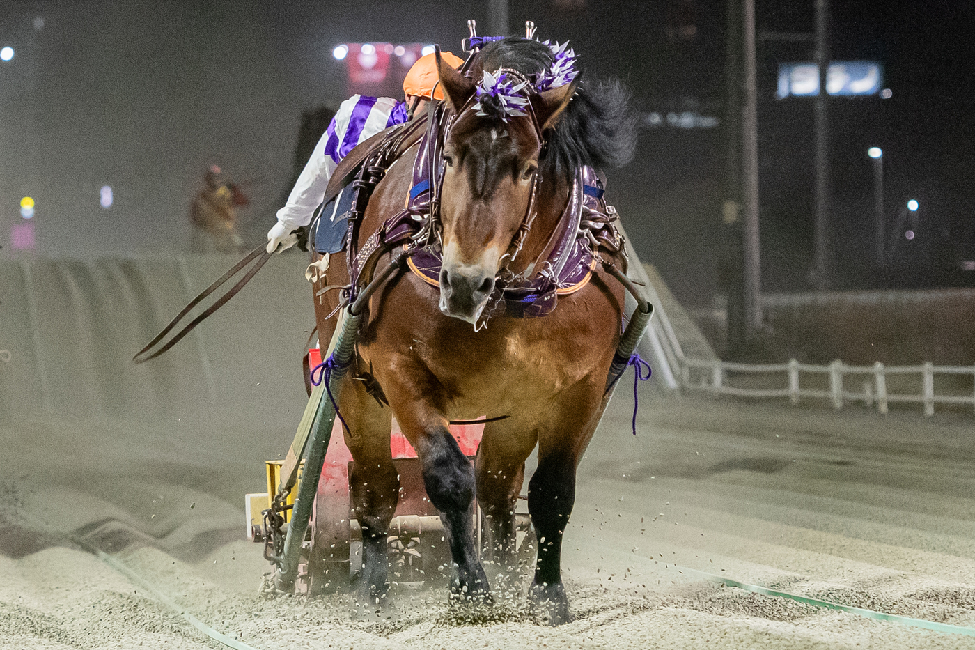 第15回ドリームエイジカップ　メムロボブサップ