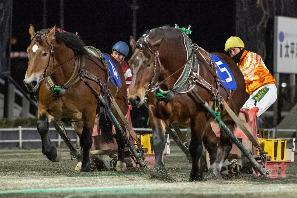 北見産駒特別2着 アグリホープ
