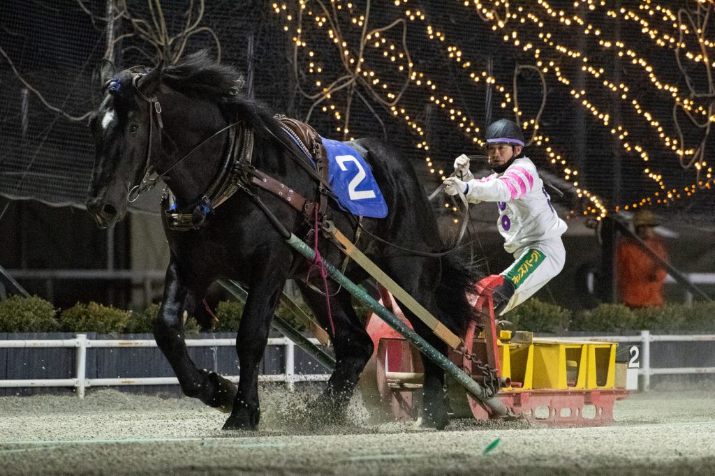 北央産駒特別2着 ウンカイダイマオー
