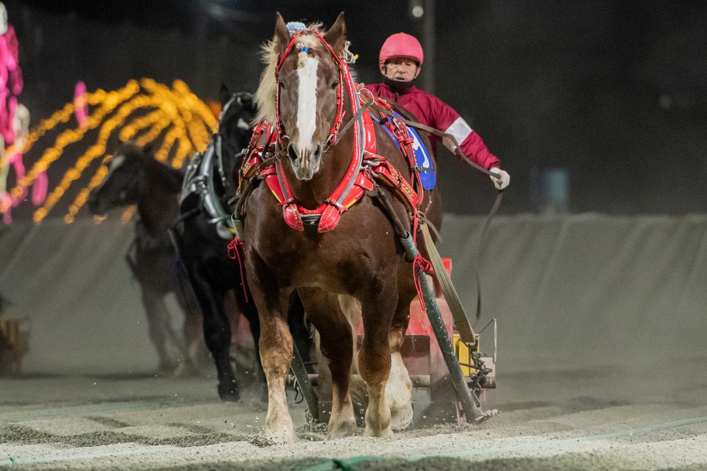 十勝産駒特別1着 スーパーシン