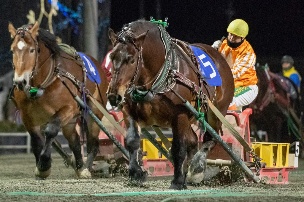 北見産駒特別1着 アバシリタカコマ