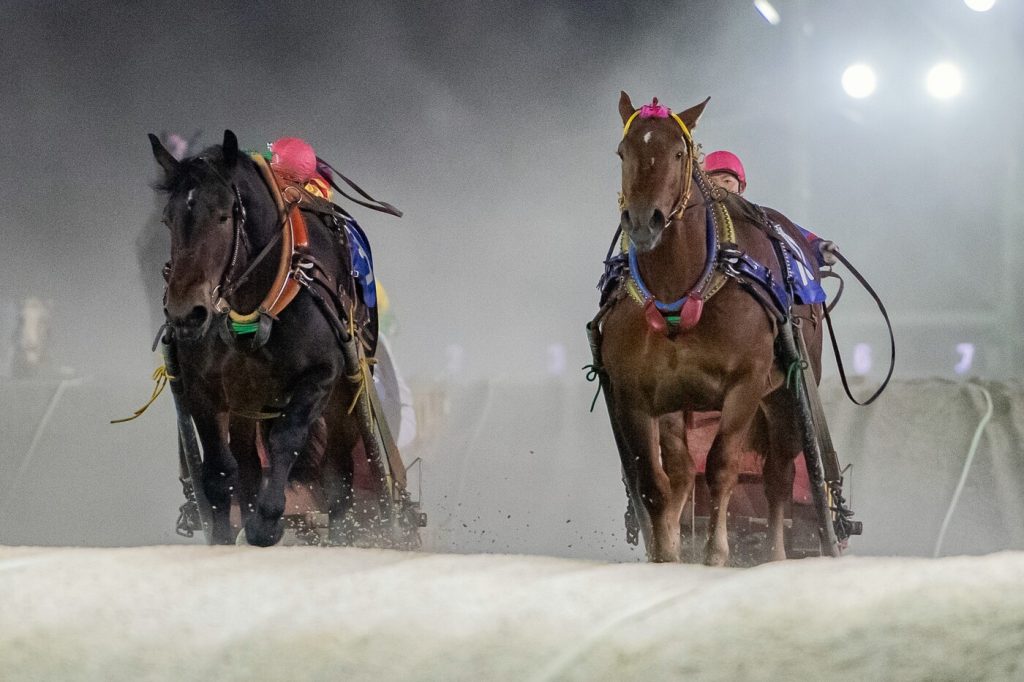 釧路産駒特別1ジェイオージョ2プロサングエ
