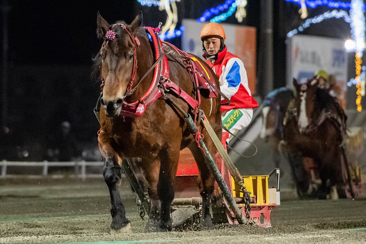第49回ばんえいオークス　スマイルカナ