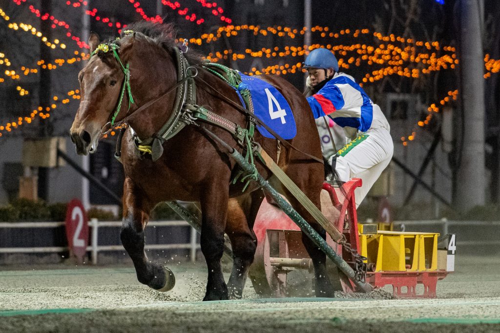 十勝産駒特別2着 キョウエイエース