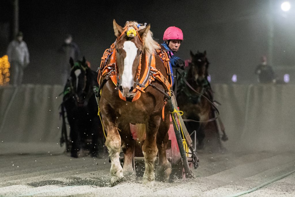 北央産駒特別1着 シンザンパワー