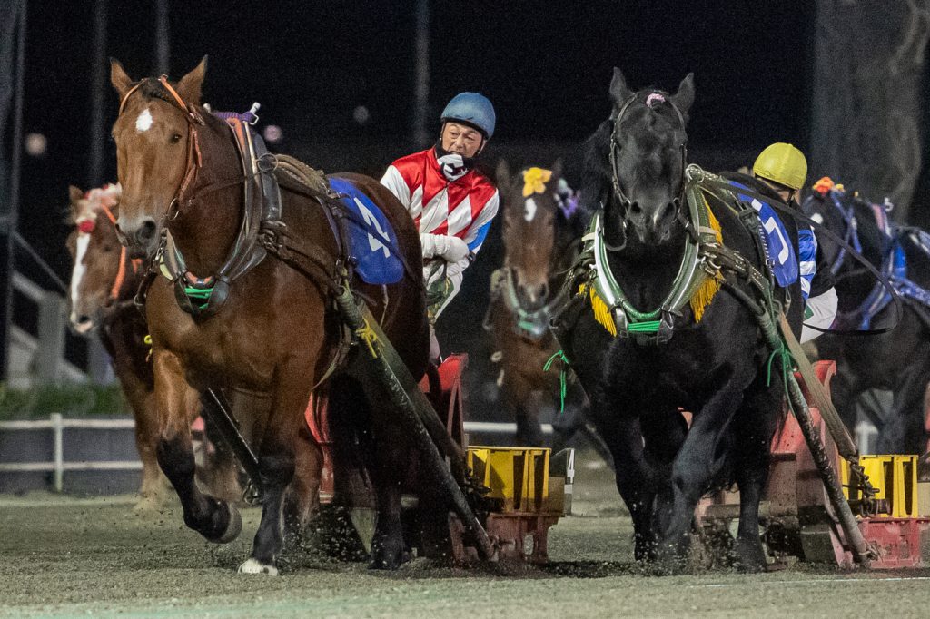 南北海道産駒特別