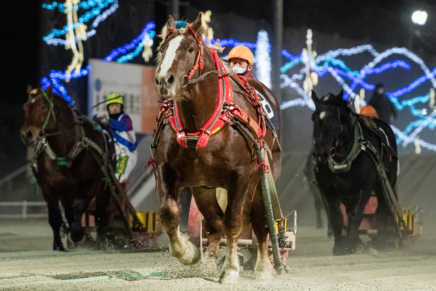 第26回ヤングチャンピオンシップ スーパーシン