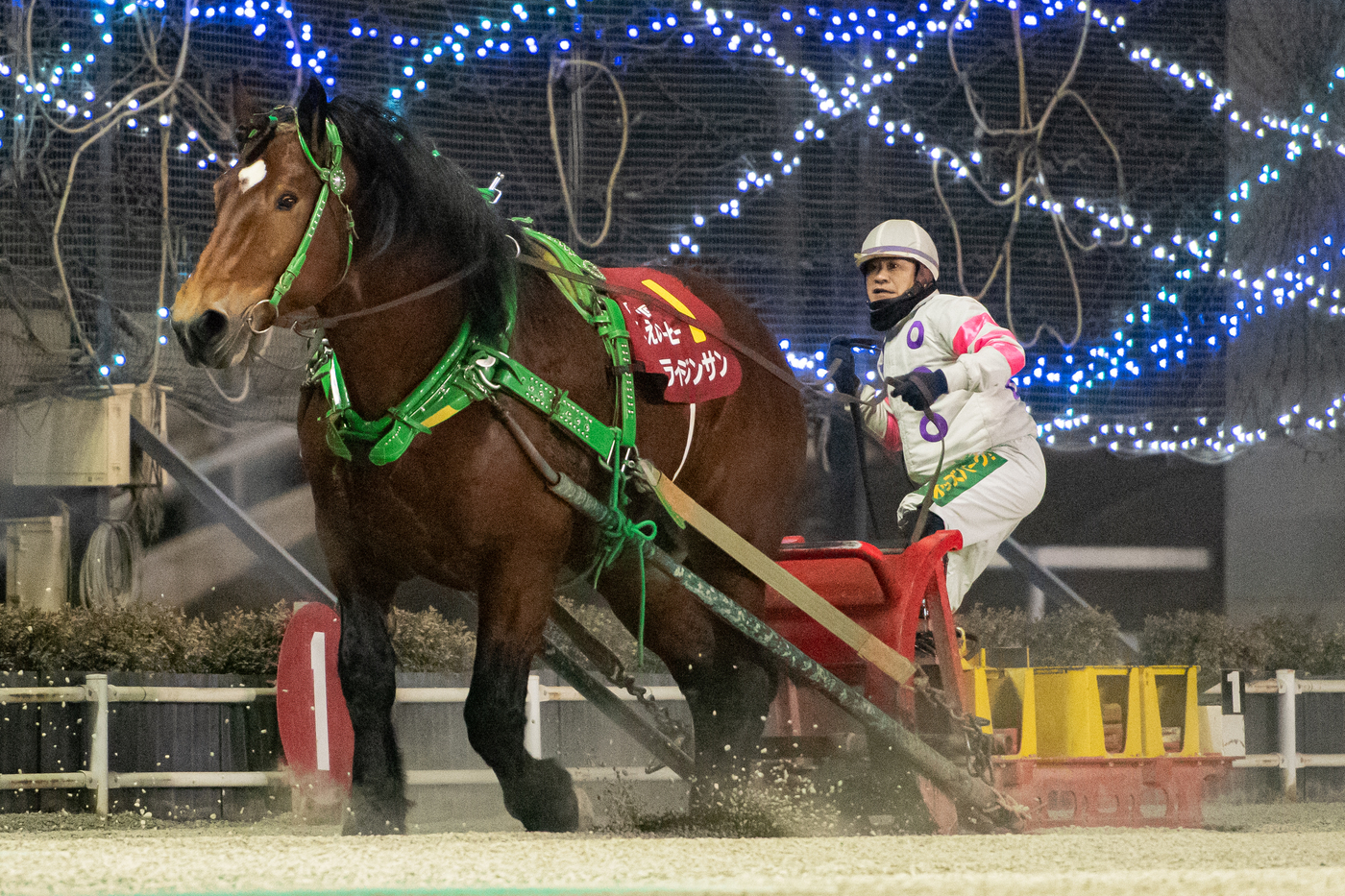 第53回ばんえいダービー ライジンサン