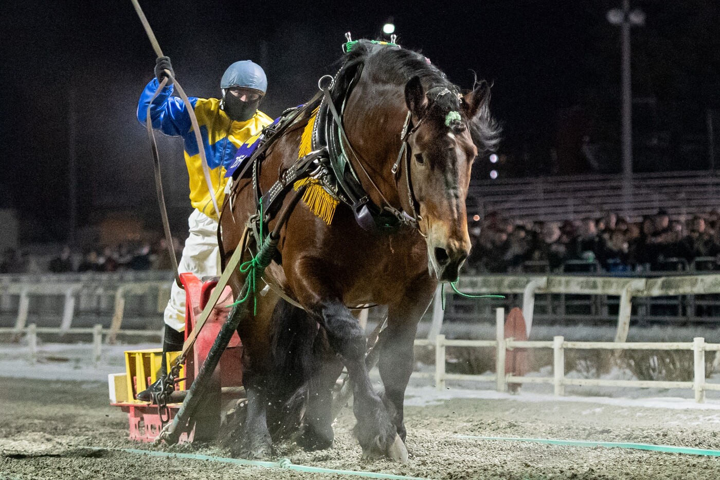 第47回帯広記念　コウテイ