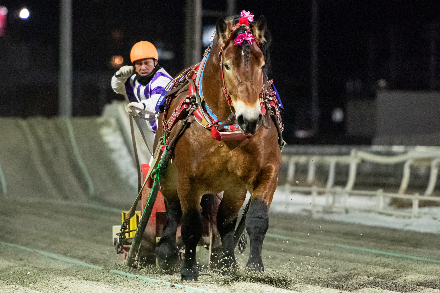第18回天馬賞 タカラキングダム
