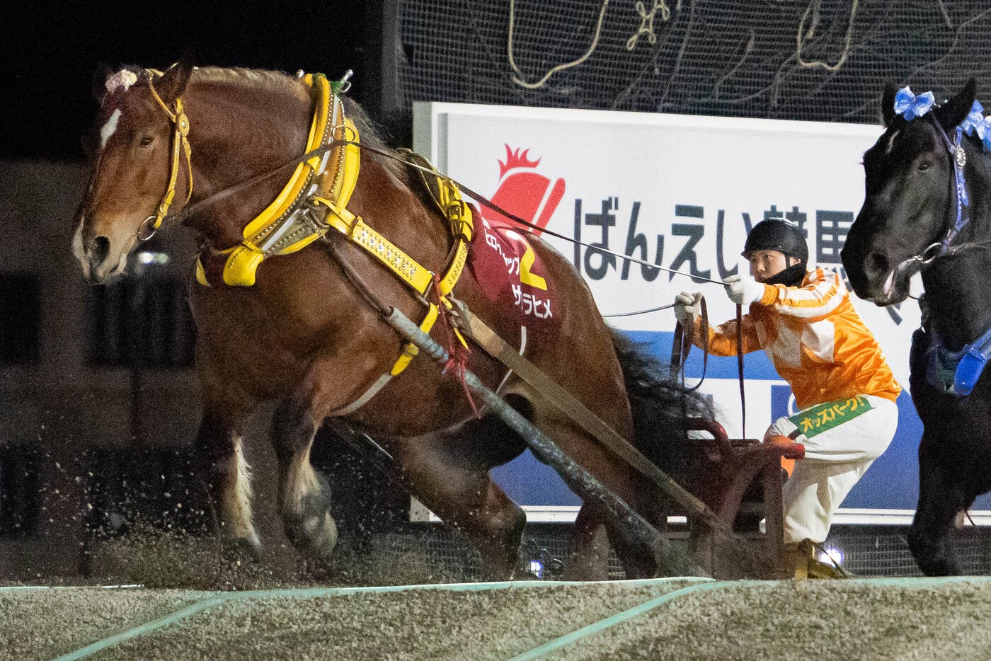 第35回ヒロインズカップ　サクラヒメ