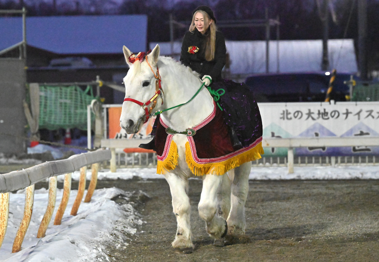 帯広記念誘導馬　ミルキー