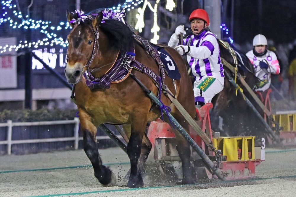 第46回チャンピオンカップ メムロボブサップ