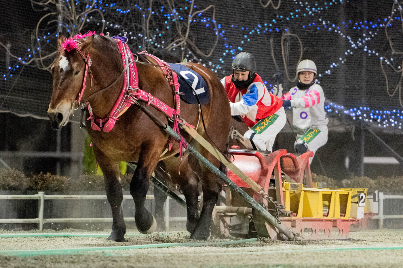 第5回翔雲賞　スターイチバン