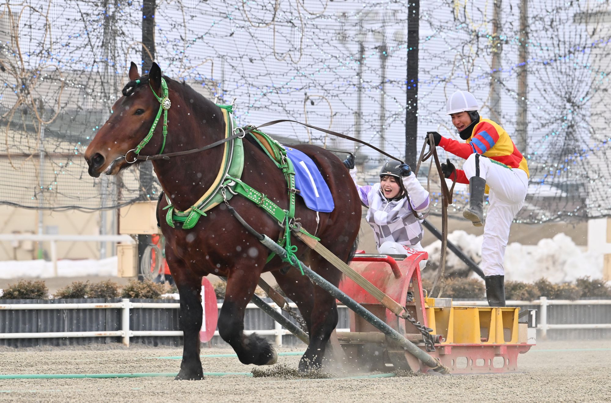 LJS2025エキシビジョンレースで優勝した兵庫の佐々木世麗騎手