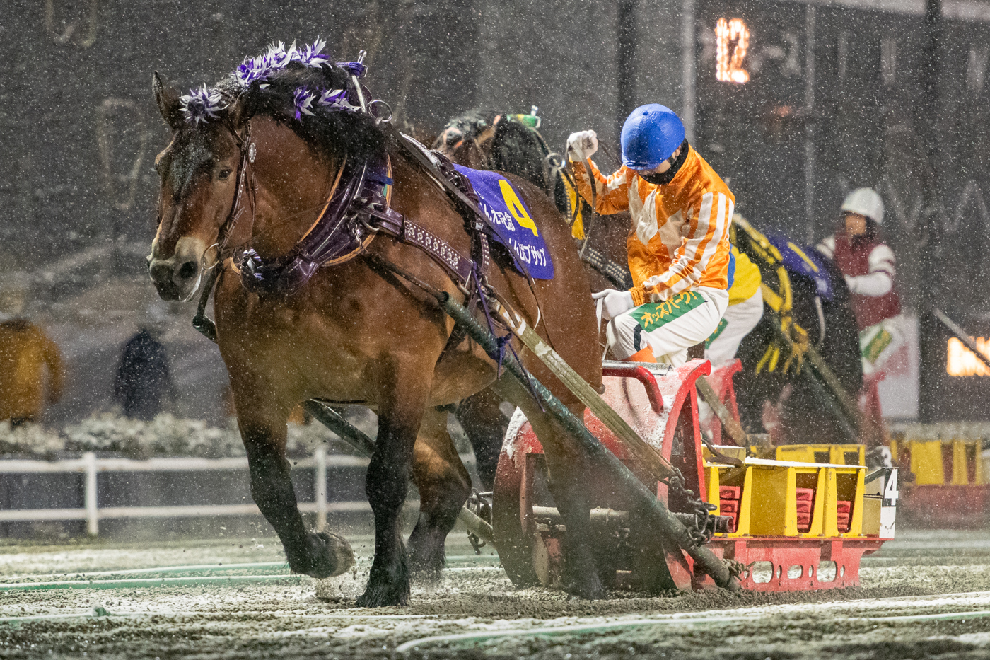 第57回ばんえい記念 メムロボブサップ