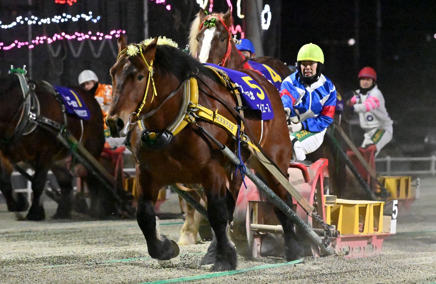 第56回イレネー記念 キョウエイエース