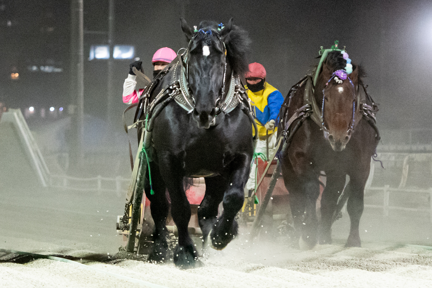 第46回ポプラ賞（BG3） マルホンリョウユウ