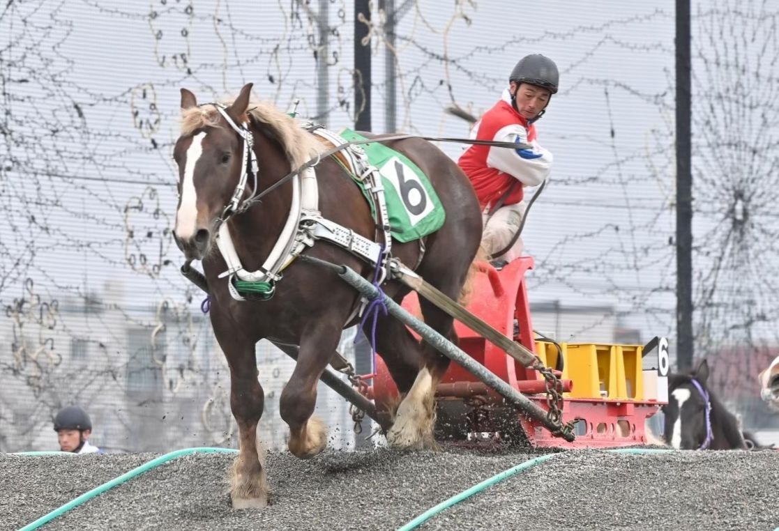 第1回能力検査の一番時計馬クリスタルヒリュウ