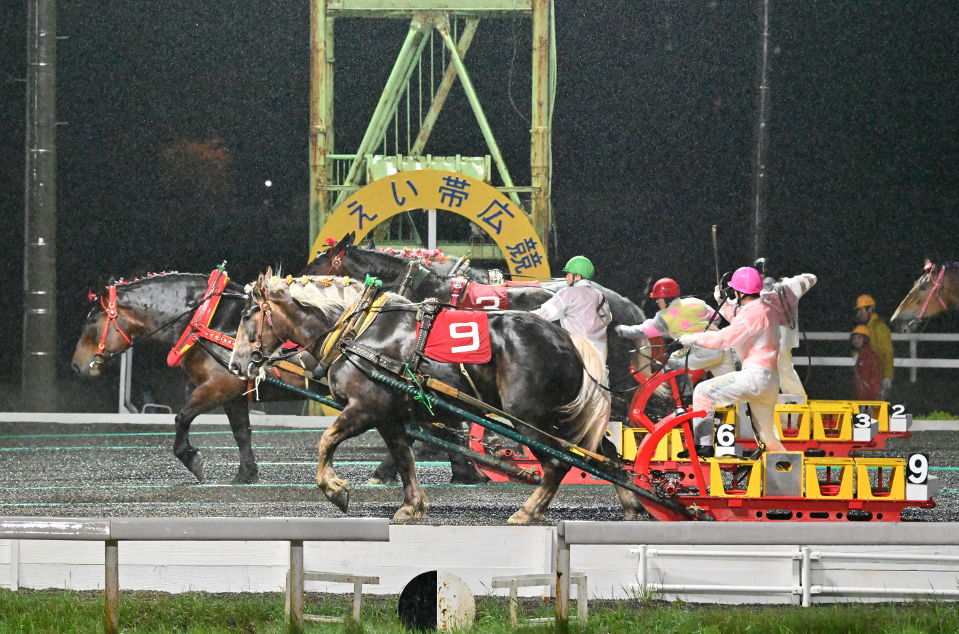 第18回カーネーションカップ カフカ