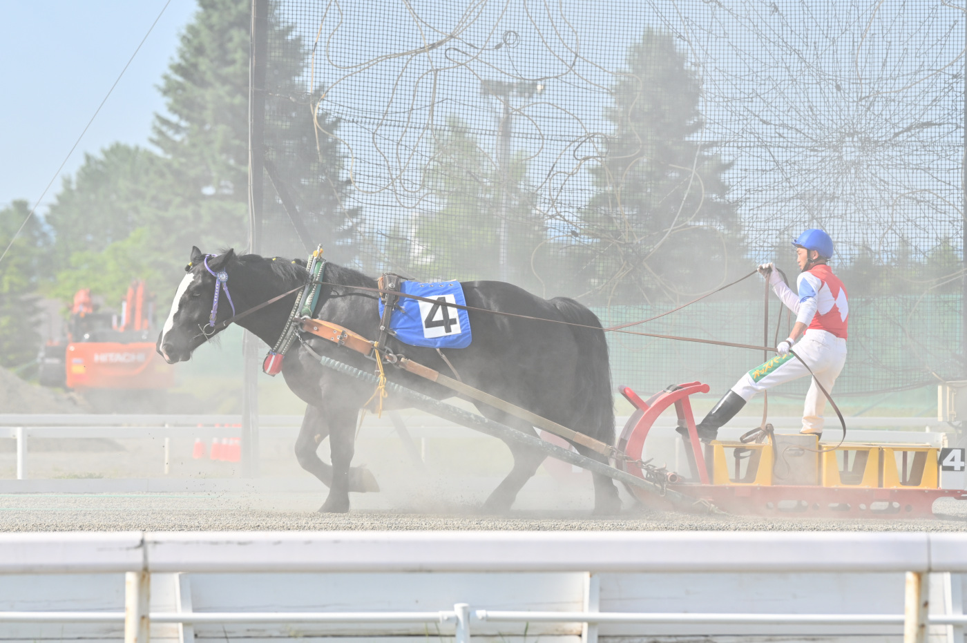 最初の2歳新馬戦を勝利したカブトダイヤ