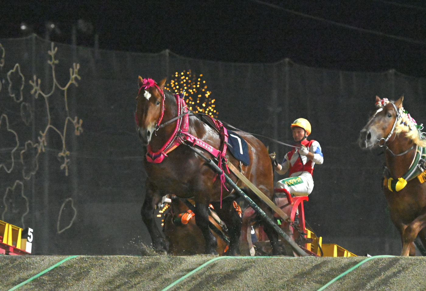 ばんえい大賞典 スターイチバン