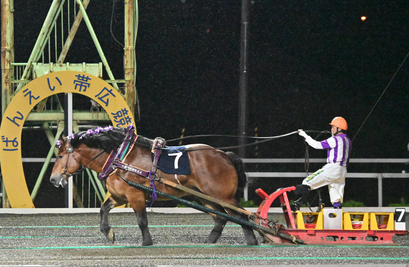 第37回ばんえいグランプリ　メムロボブサップ