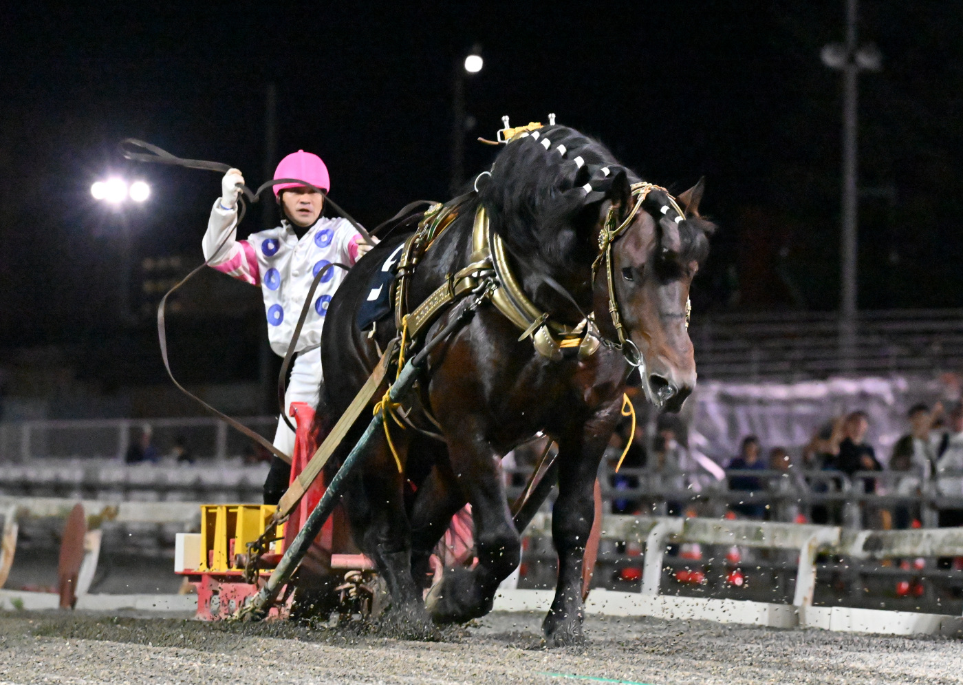 第61回 岩見沢記念　キングフェスタ
